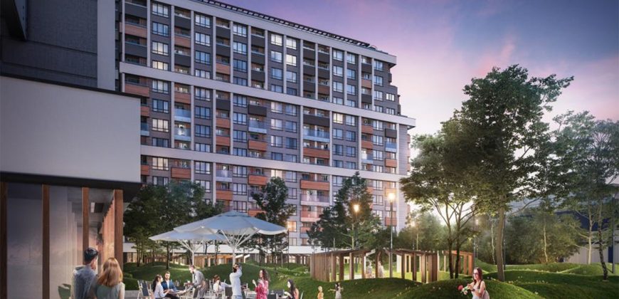 Offre lancement nouveau projet a Sofia