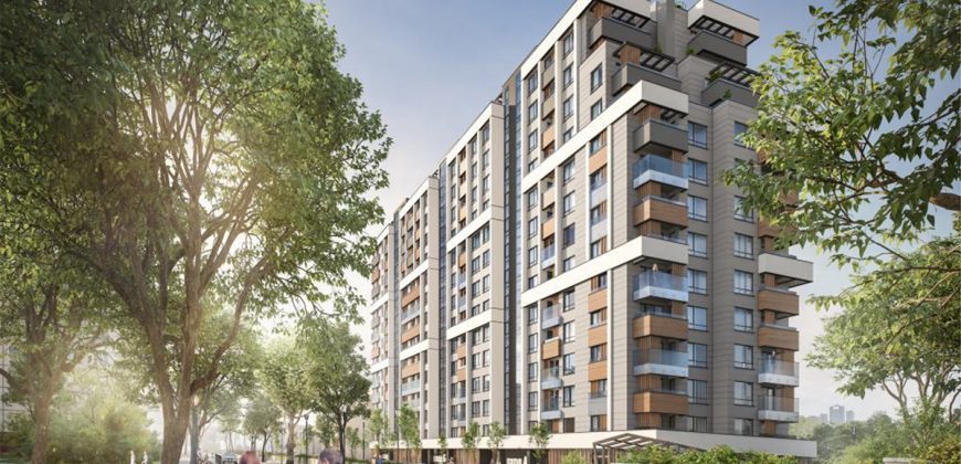 Offre lancement nouveau projet a Sofia