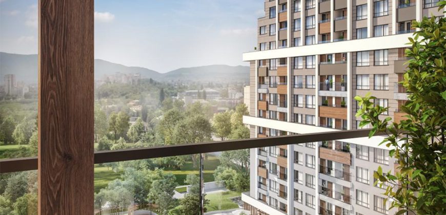 Offre lancement nouveau projet a Sofia