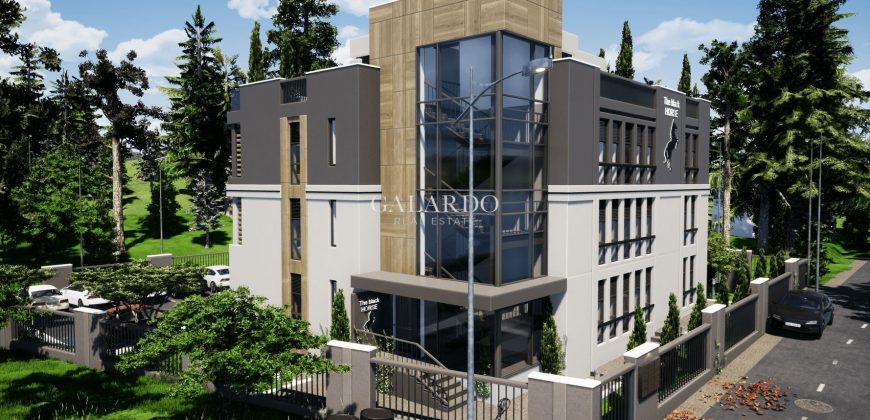 Appartement d’une chambre dans un immeuble de charme à Kambanite